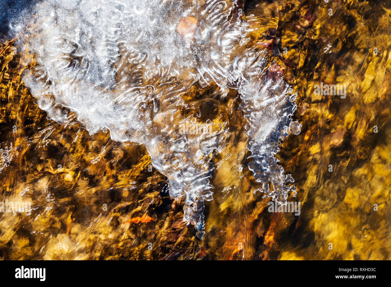 Close up di ghiaccio sul Sud Arkansas River vicino al piccolo paese di montagna di salida, Colorado, STATI UNITI D'AMERICA Foto Stock