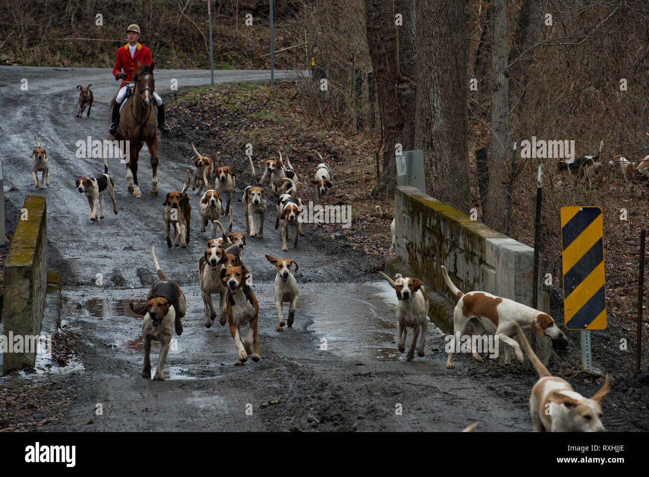 Stati Uniti - 03-09-2019: la più antica la caccia alla volpe club negli Stati Uniti è il Piemonte Hunt, la quale è disposta lungo il newline Mill Road vicino alla V Foto Stock