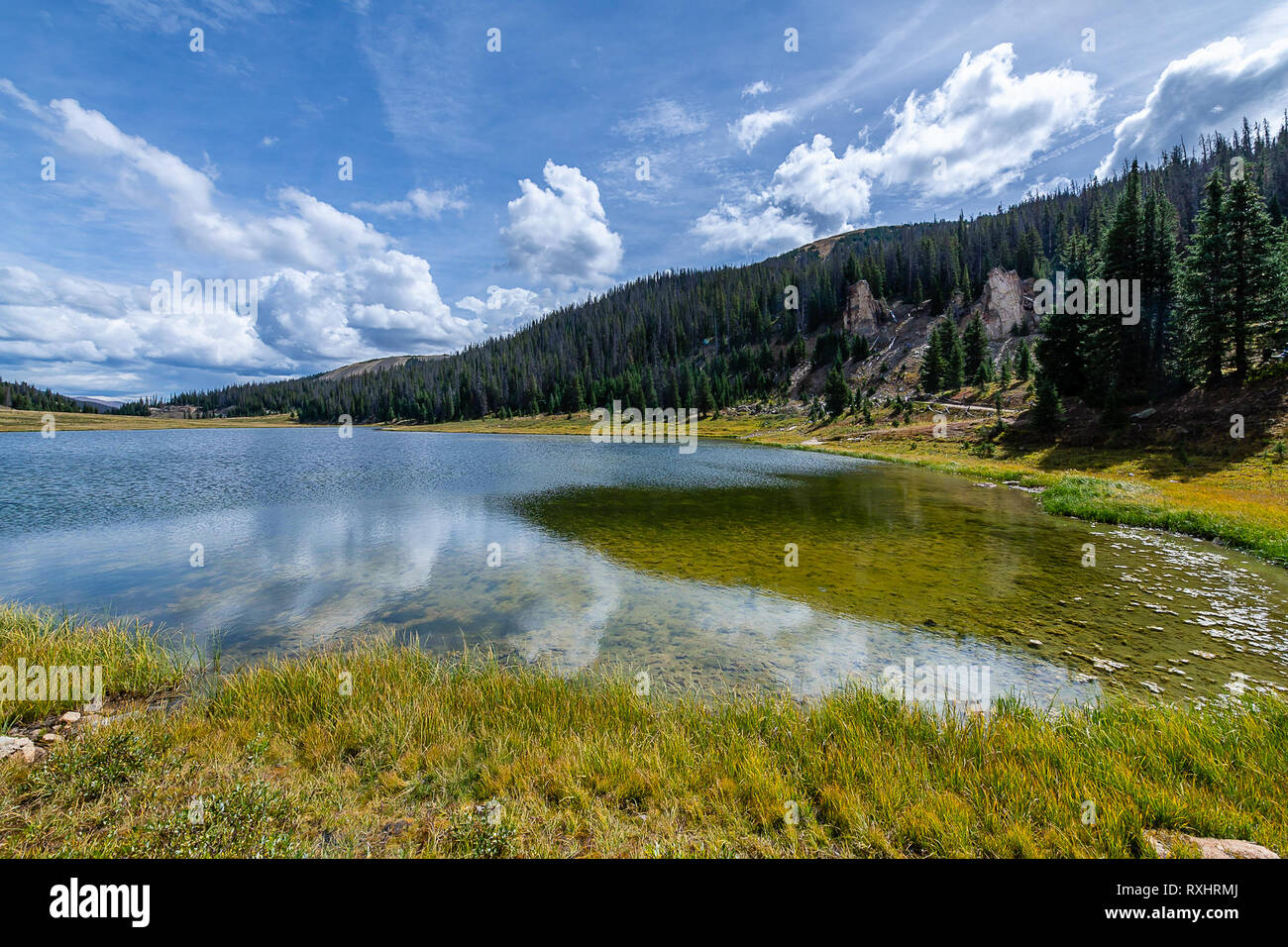 Parco Nazionale delle Montagne rocciose Foto Stock