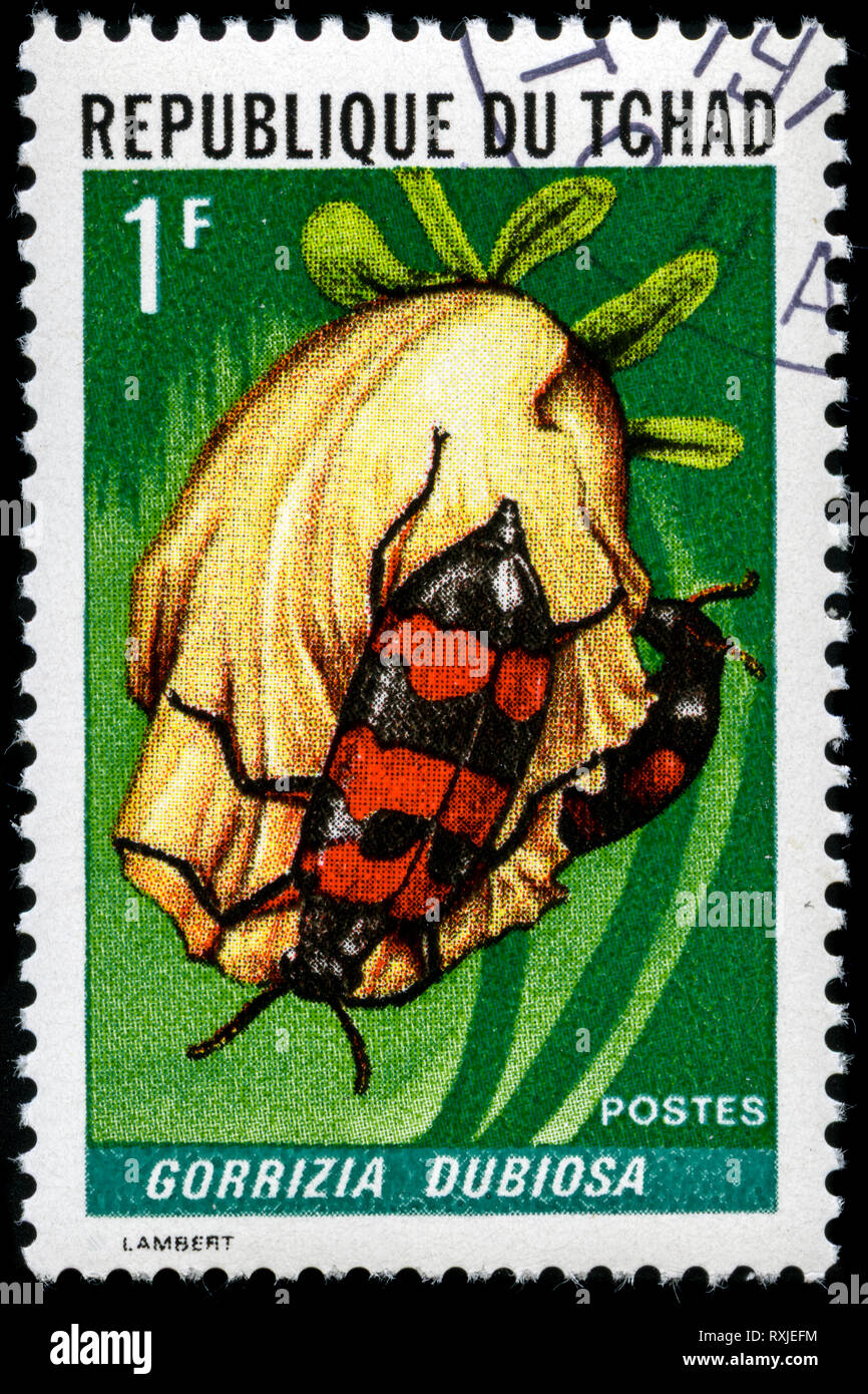 Con timbro postale timbro dal Ciad nella serie di insetti rilasciati nel 1972 Foto Stock