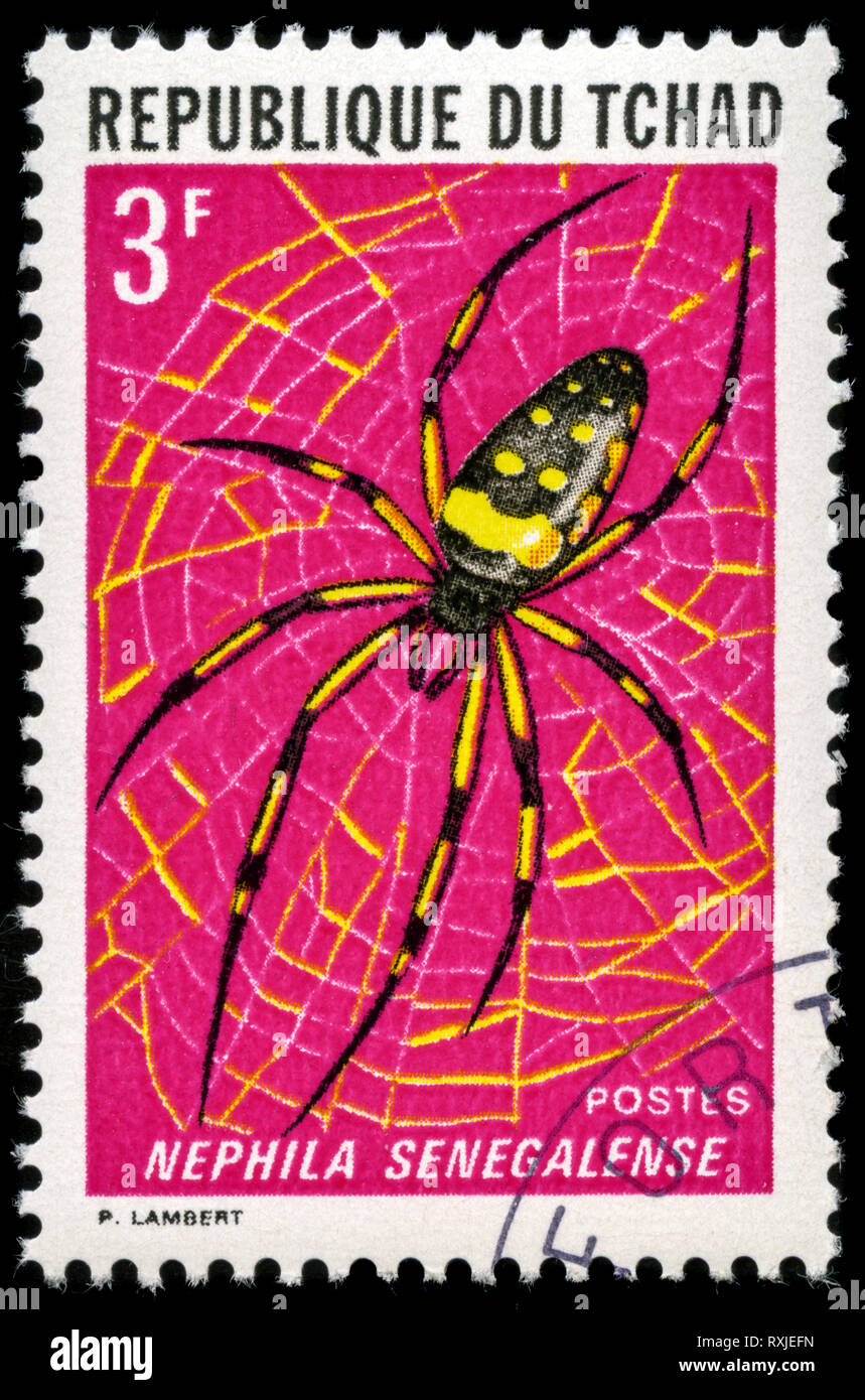 Con timbro postale timbro dal Ciad nella serie di insetti rilasciati nel 1972 Foto Stock