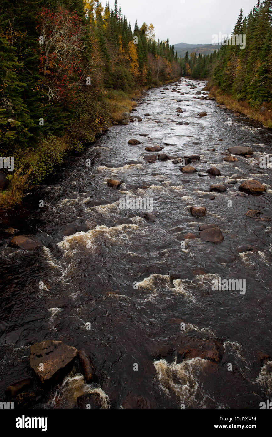 Forêt Montmorency, MRC de la Côte-de-Beaupré, Quebec, Canada Foto Stock