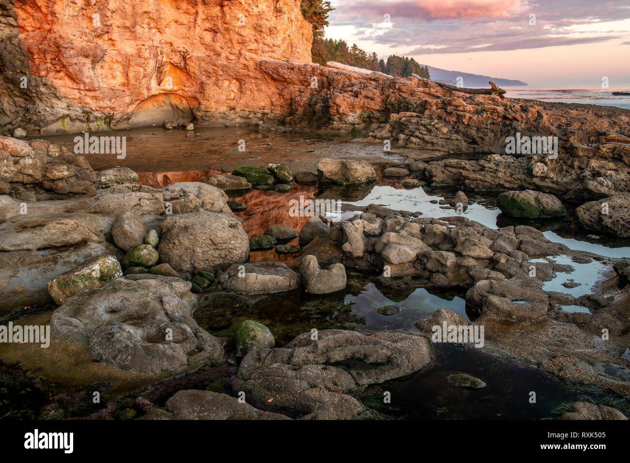 Spiaggia di botanica, Juan de Fuca Trail, Port Renfrew, Isola di Vancouver, BC Canada Foto Stock