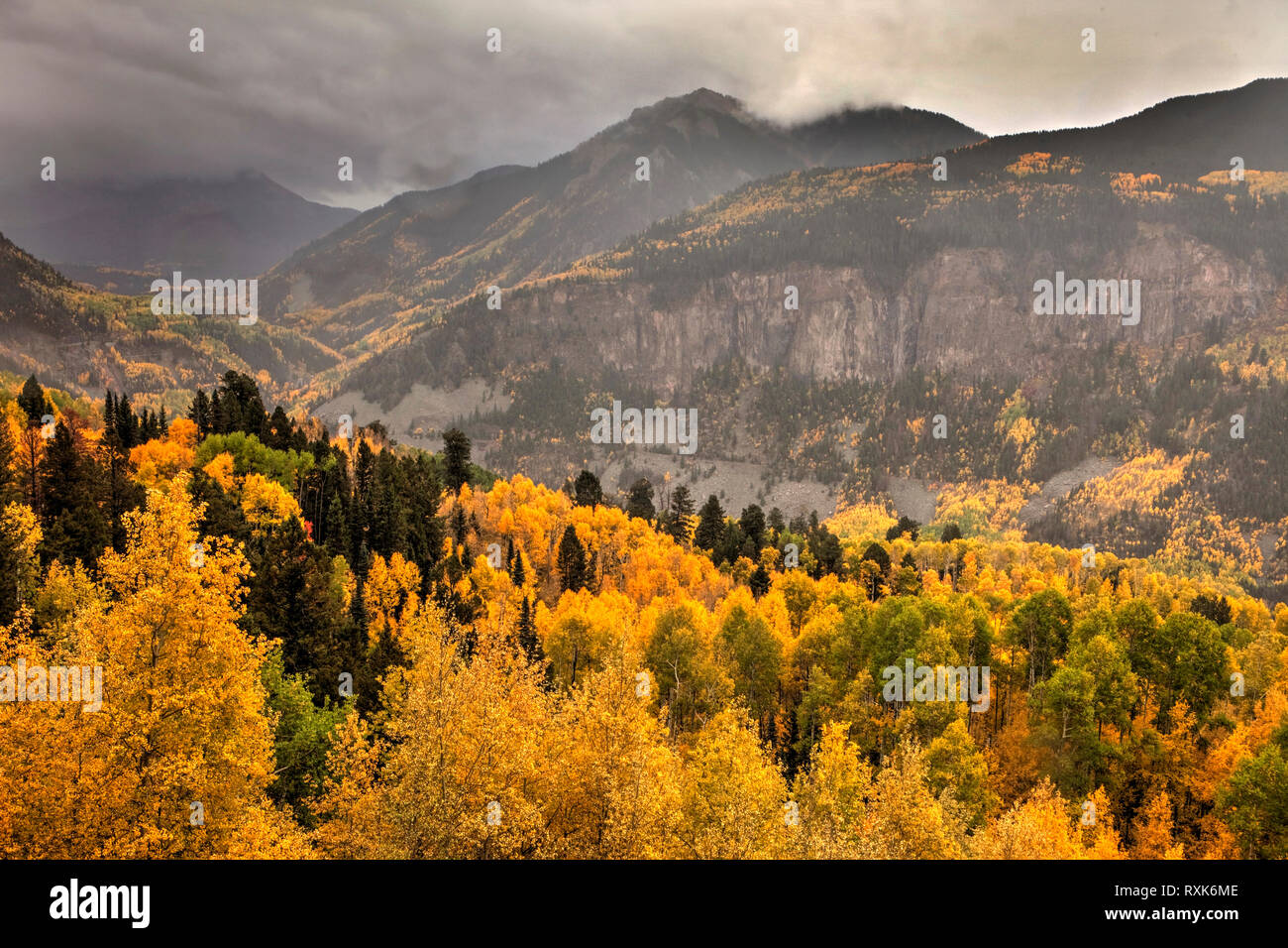 Leopard Creek Canyon in autunno, Colorado, STATI UNITI D'AMERICA Foto Stock