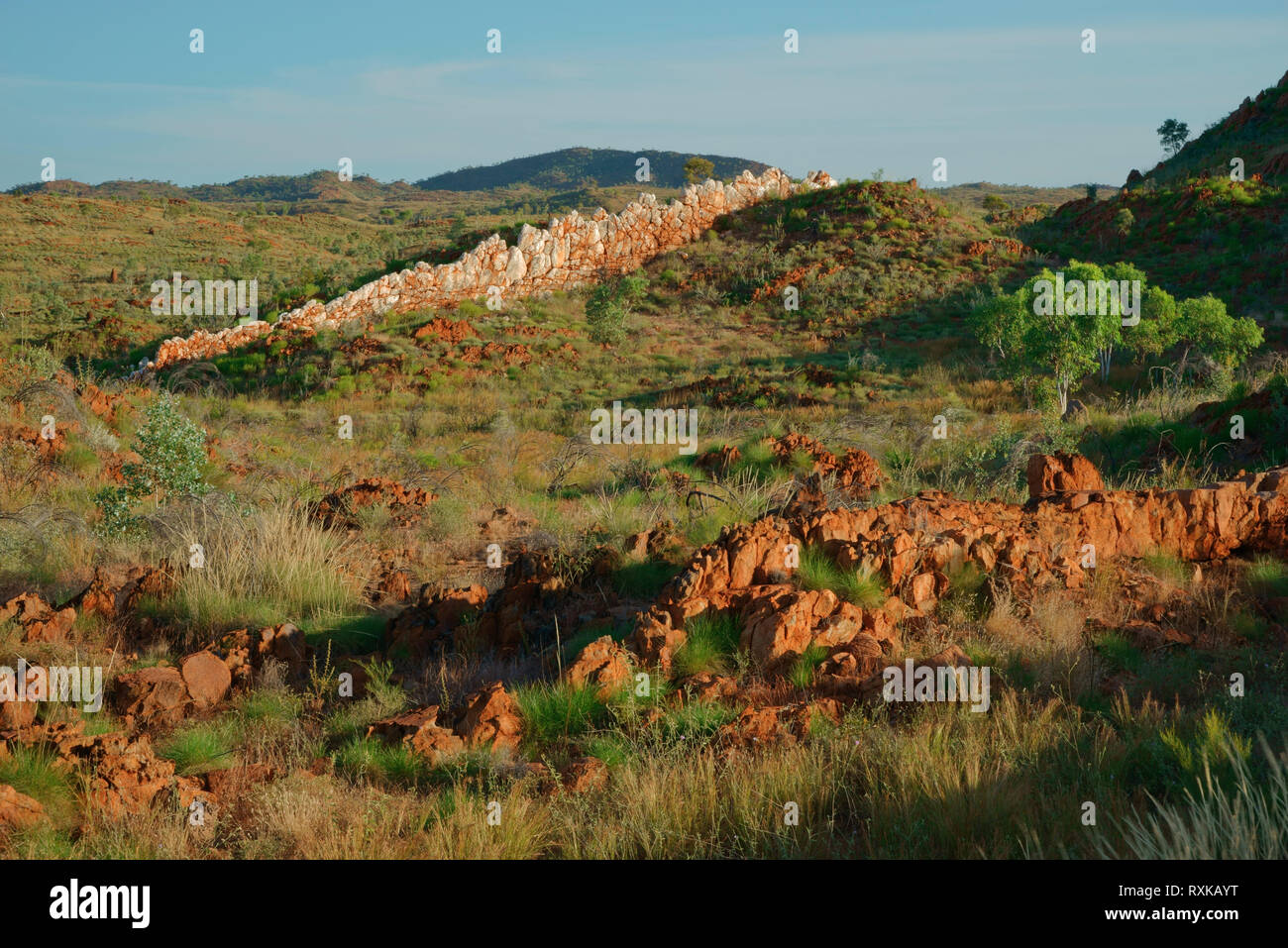 Il Muro Cinese, bianco naturale del muro di pietra. Somiglia molto alla Grande Muraglia Cinese. Halls Creek, il Kimberley, Western Australia Territorio, Australia. Foto Stock