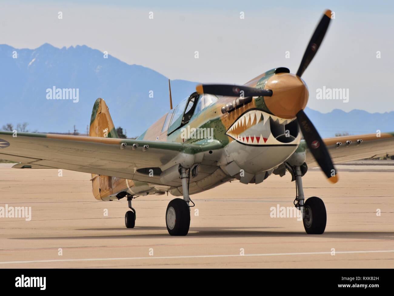 Curtiss p 40 warhawk immagini e fotografie stock ad alta risoluzione ...