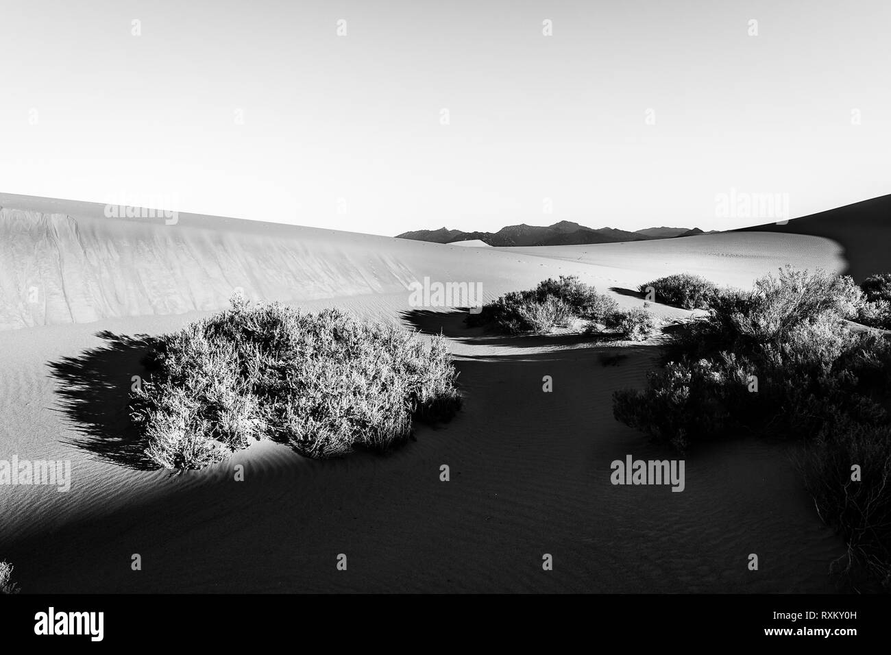 Mesquite Flat dune di sabbia a ora d'oro Foto Stock
