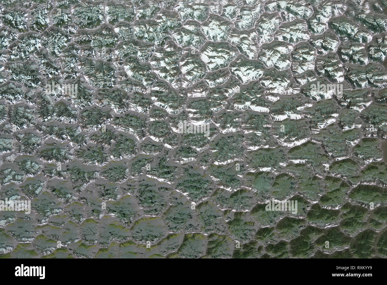 Verde e bianco brilla attraverso un innevato, testurizzato privacy nel riquadro finestra, che conferisce un aspetto astratto di un vetro rotto dello sfondo. Foto Stock