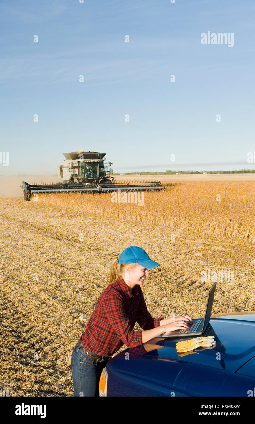 Una contadina utilizza un computer portatile come una mietitrebbia opera un campo durante il raccolto di soia, vicino Lorette, Manitoba, Canada Foto Stock