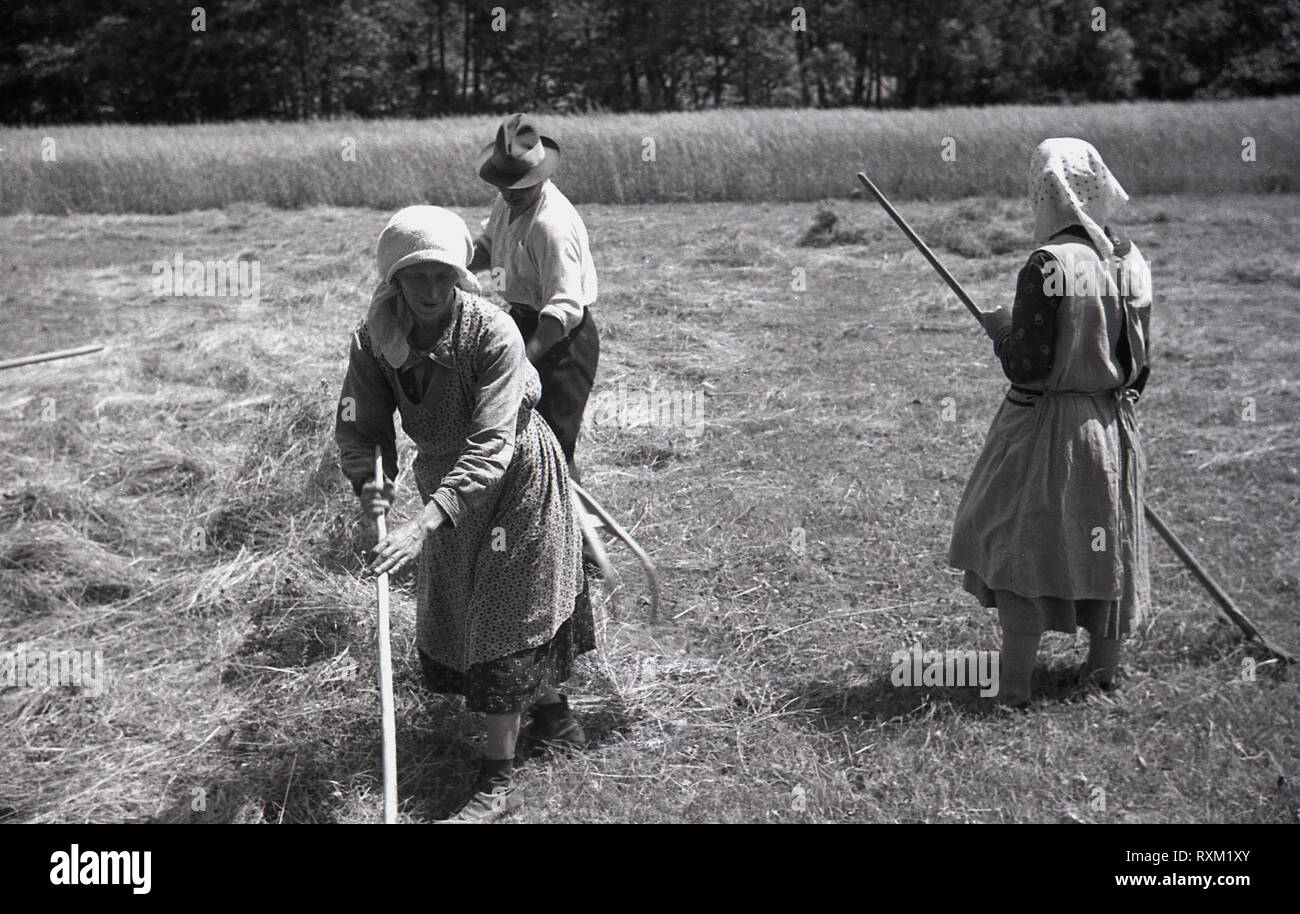 1930s, Sudetenland, Cecoslovacchia, famer operai che lavorano in un campo fino a rastrellare il fieno dopo la vendemmia. Foto Stock