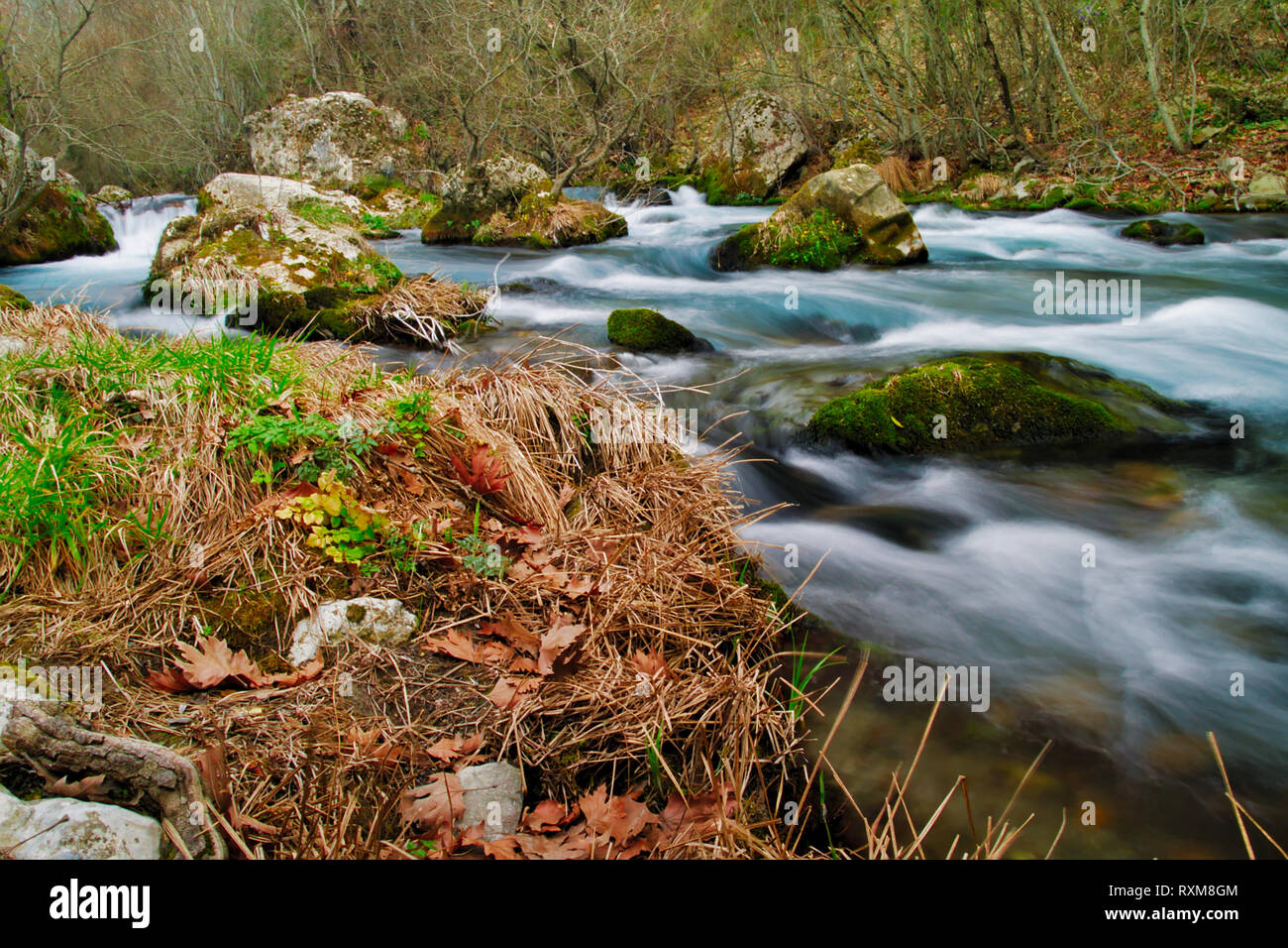 Fiume Lousios nel Peloponneso, Grecia. Una lunga esposizione, effetto dell'acqua. Foto Stock