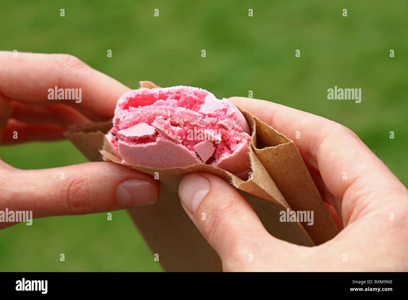 Donna Rosa mangiare macaron cookie tenendolo con due mani su erba verde sullo sfondo Foto Stock