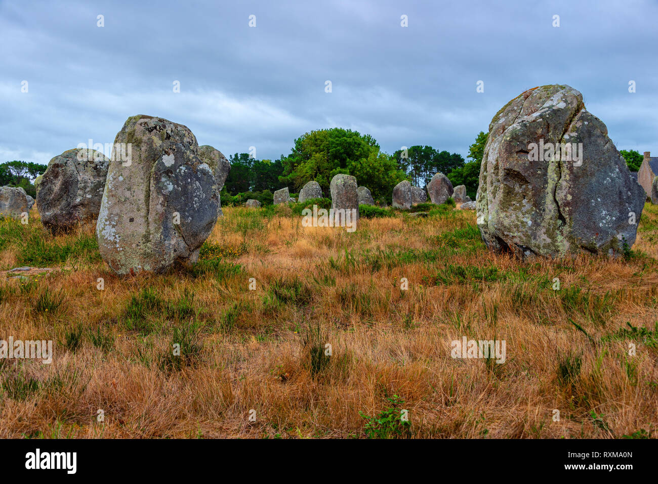 Carnac megaliti allineamento in Bretagna, Francia Foto Stock