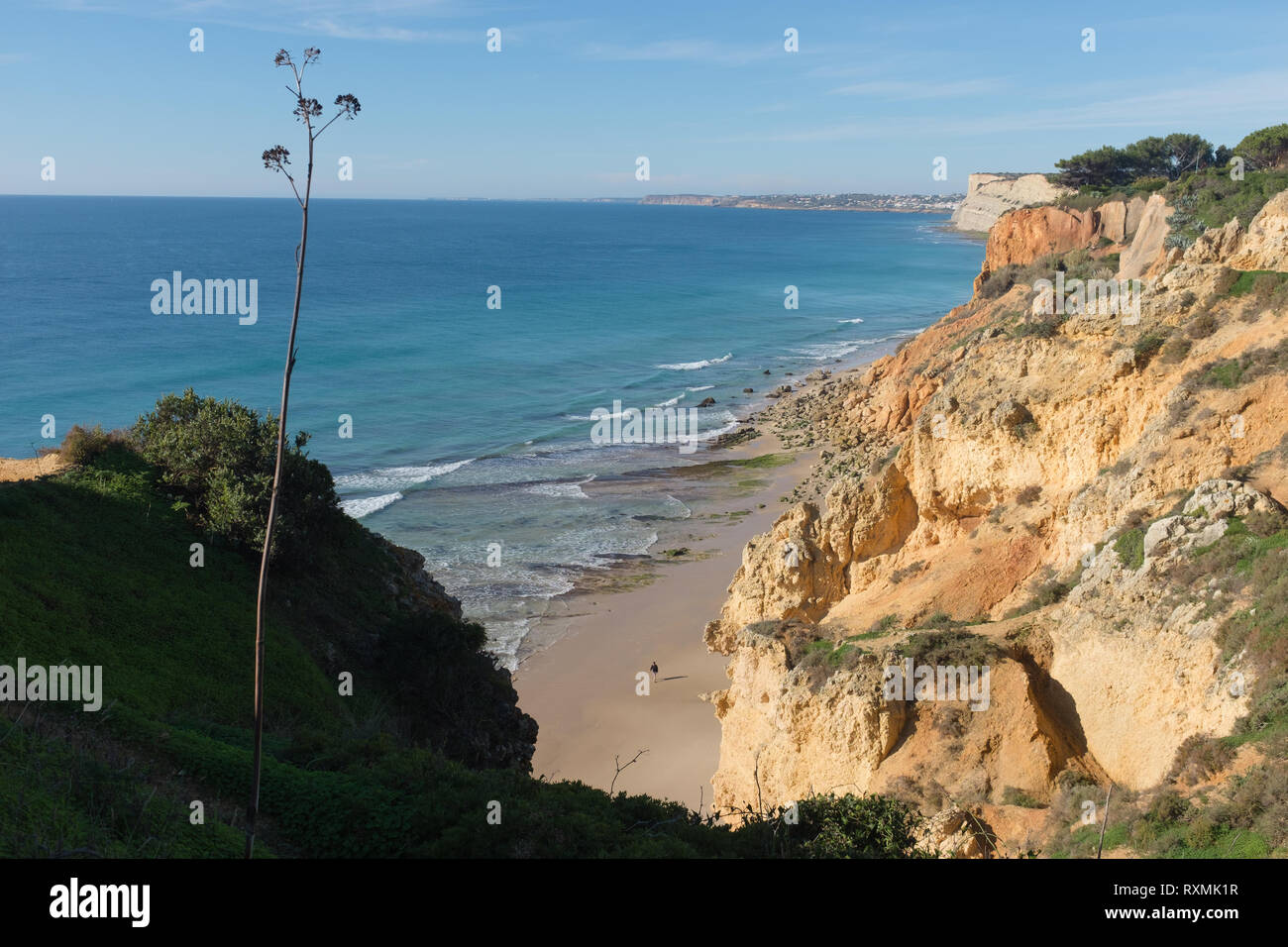 Un uomo che cammina su una spiaggia durante la bassa marea a Lagos, Algarve, PORTOGALLO Foto Stock