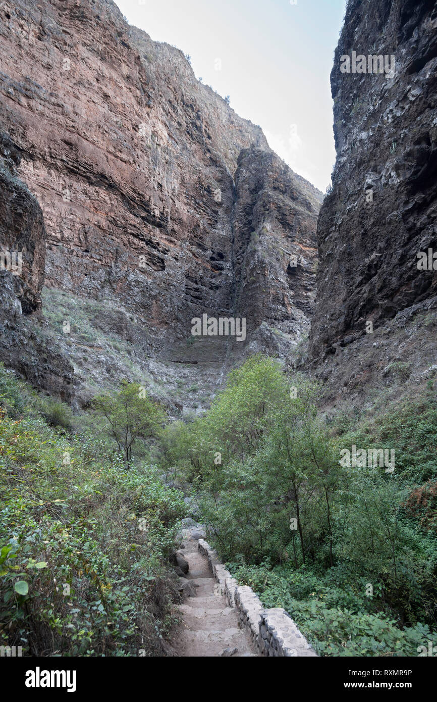 Le pareti del burrone torre sopra il sentiero lungo la gola chiamato il Barranco del Infierno, Adeje, Tenerife. Foto Stock