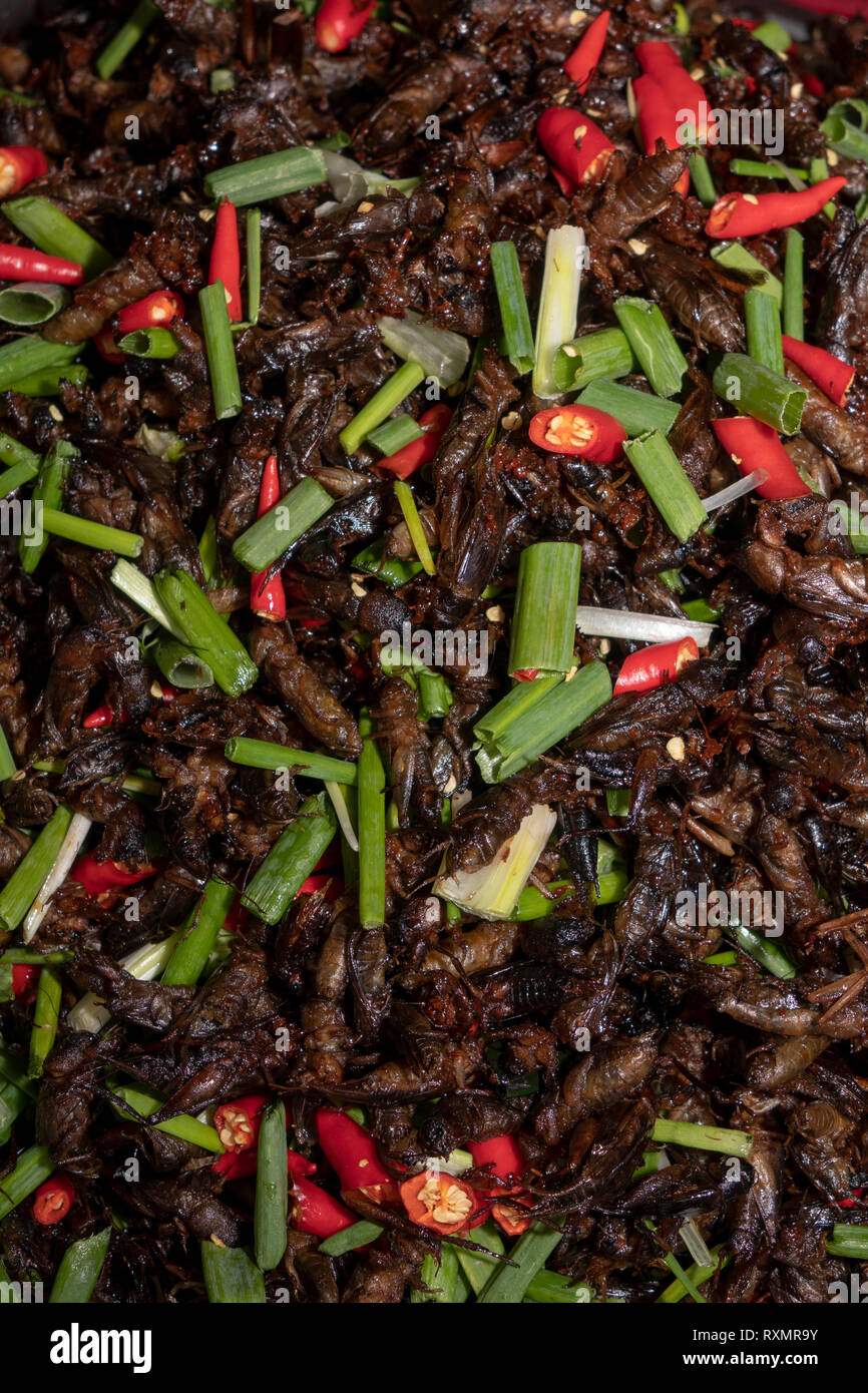 Cm696 Cambogia, Phnom Penh, Oudong, mercato alimentare, scarafaggi speziato con cipolline e peperoncini rossi per la vendita Foto Stock