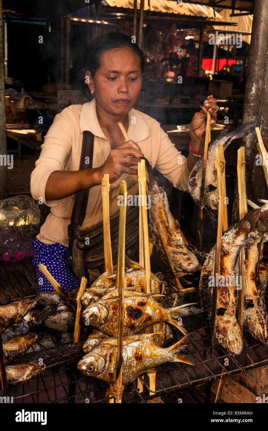 Cambogia, Phnom Penh, Oudong, mercato alimentare, donna grigliate di pesce di fiume detenute in bambù per la vendita a mangiare Foto Stock