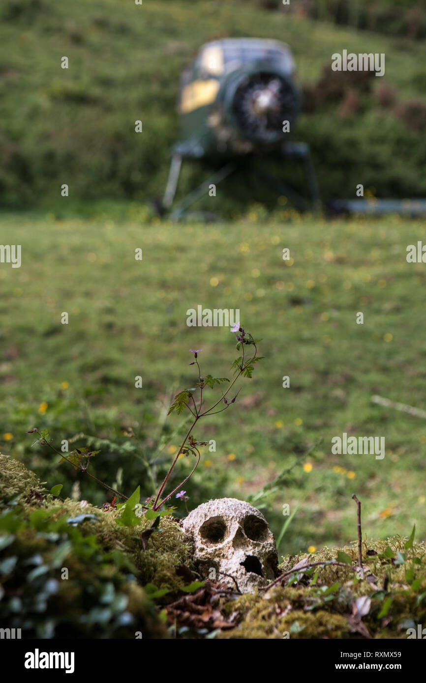 Bantry, Cork, Irlanda. 05 Giugno, 2010. Un Antonov An-2 giace biplanare abandonded fuori Bantry, Co. Cork, Irlanda. Foto Stock