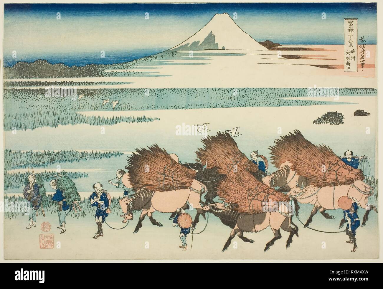 Risaie a Ono nella provincia di Suruga (Sunshu shinden Ono), dalla serie 'trentasei vedute del Monte Fuji (Fugaku sanjurokkei)'. Katsushika Hokusai ?? ??; Giapponese, 1760-1849. Data: 1825-1838. Dimensioni: 26,5 x 38,3 cm (10 1/2 x 15 in.). Colore stampa woodblock; oban. Provenienza: Giappone. Museo: Chicago Art Institute. Foto Stock