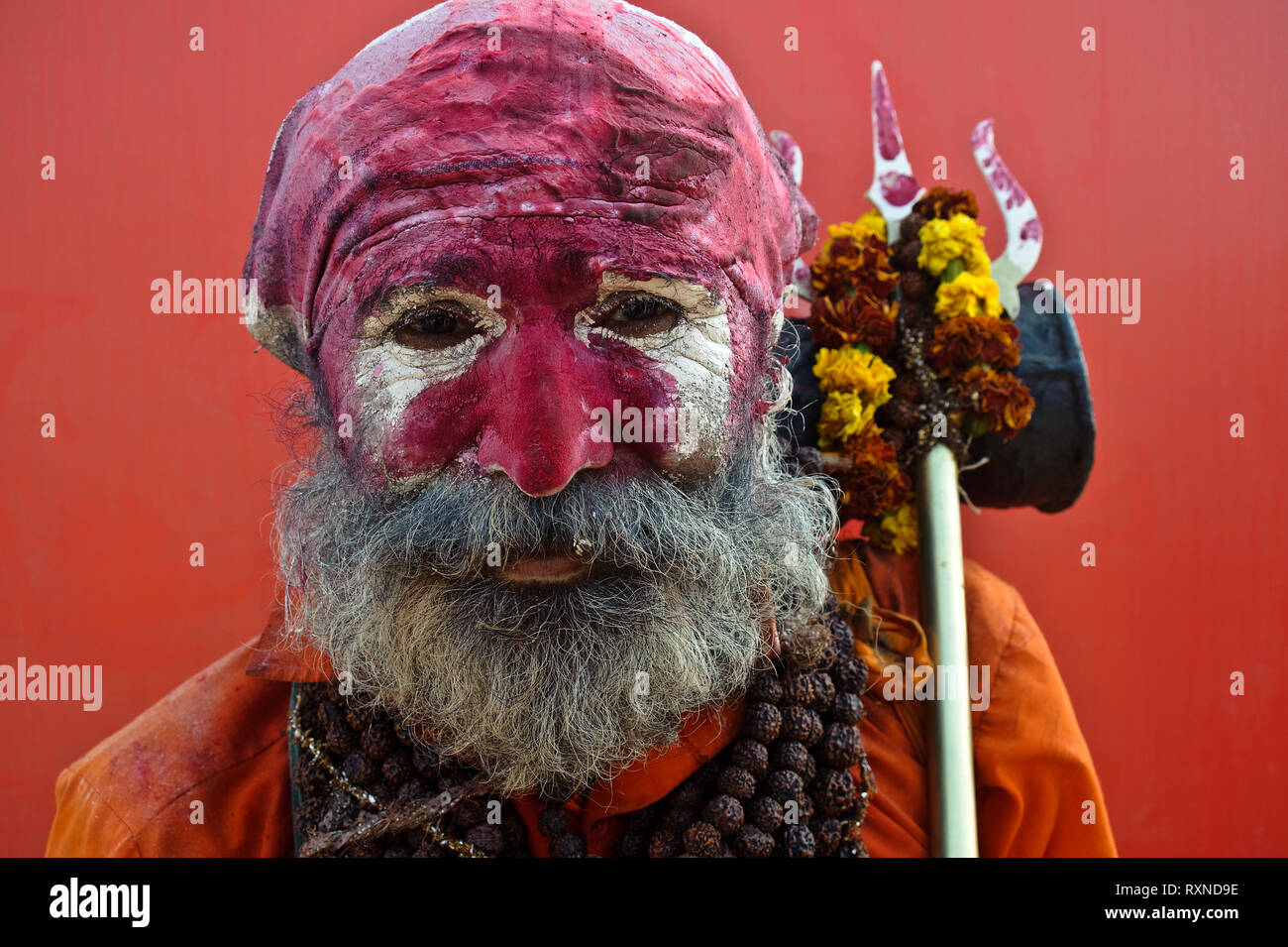 Ascetica indù ('sadhu') appartenenti alla setta Samnyasin ( India) Foto Stock