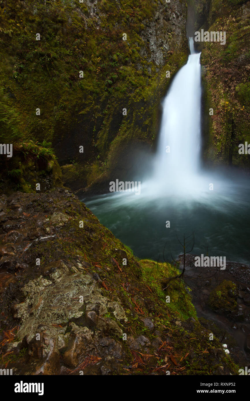 Wahclella Falls, Multnomah County, Oregon, Stati Uniti d'America Foto Stock