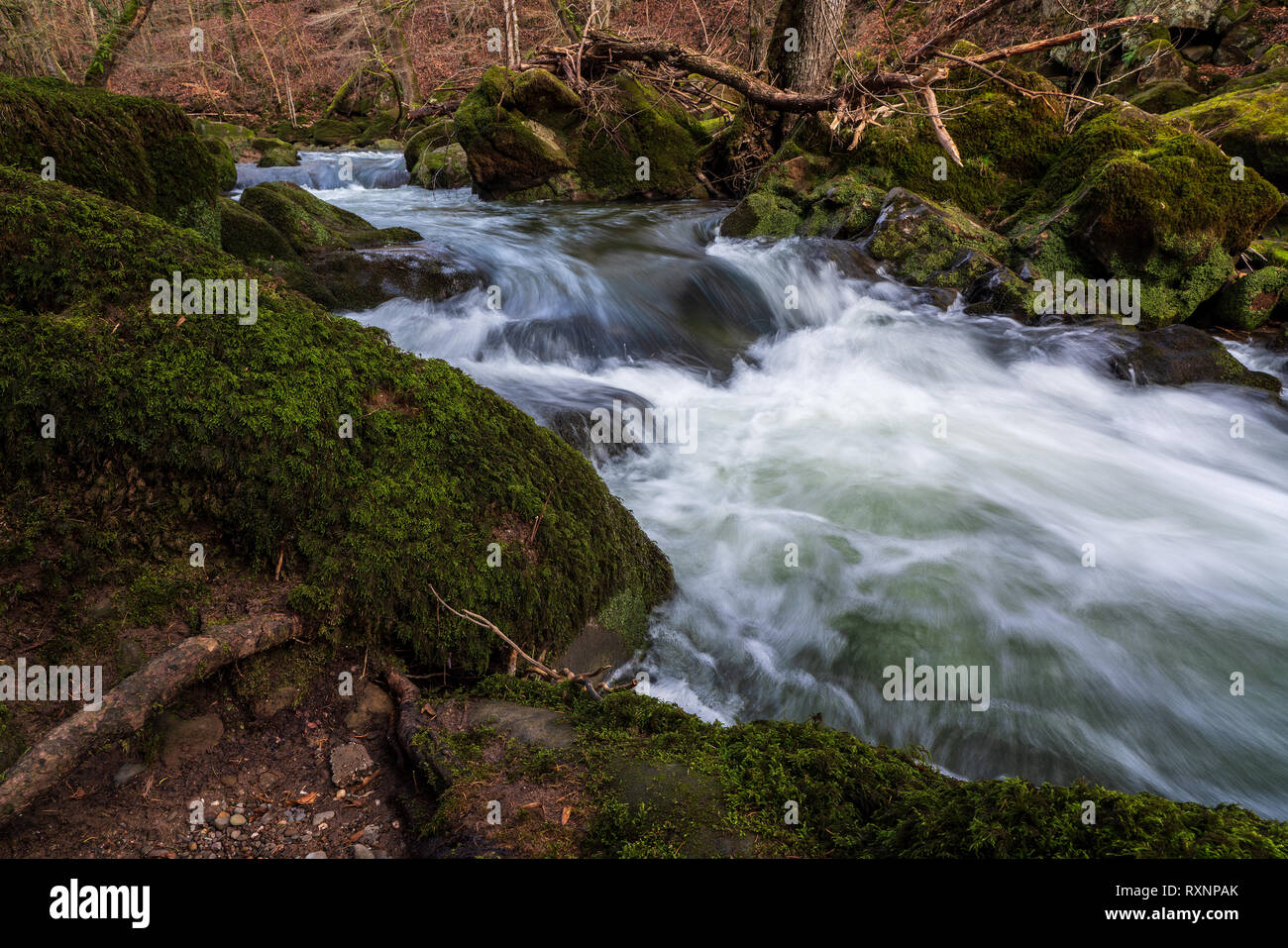 German-Luxembourg Natura Park, Irrel cascate. Foto Stock