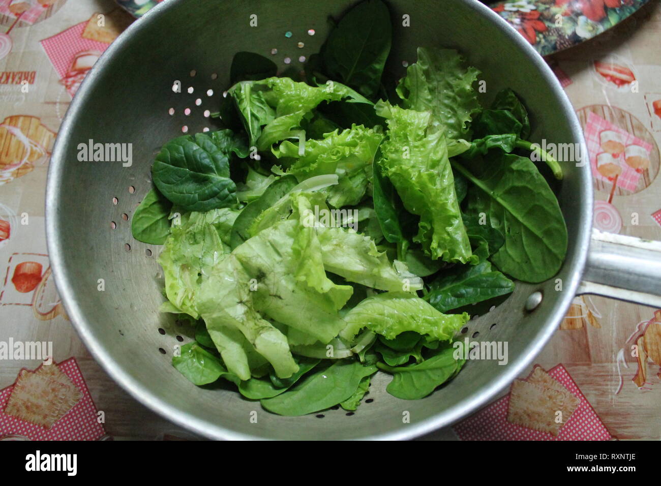 Stuzzicante verdura verde mix di fresca insalata succosa nel recipiente Foto Stock