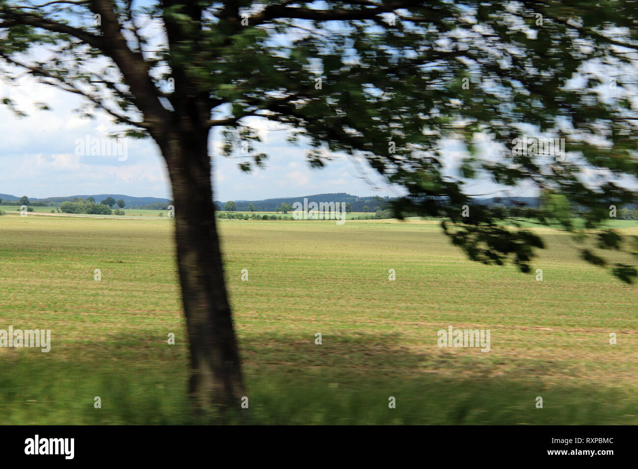 Colpo di paesaggio e albero da una vettura in movimento Foto Stock