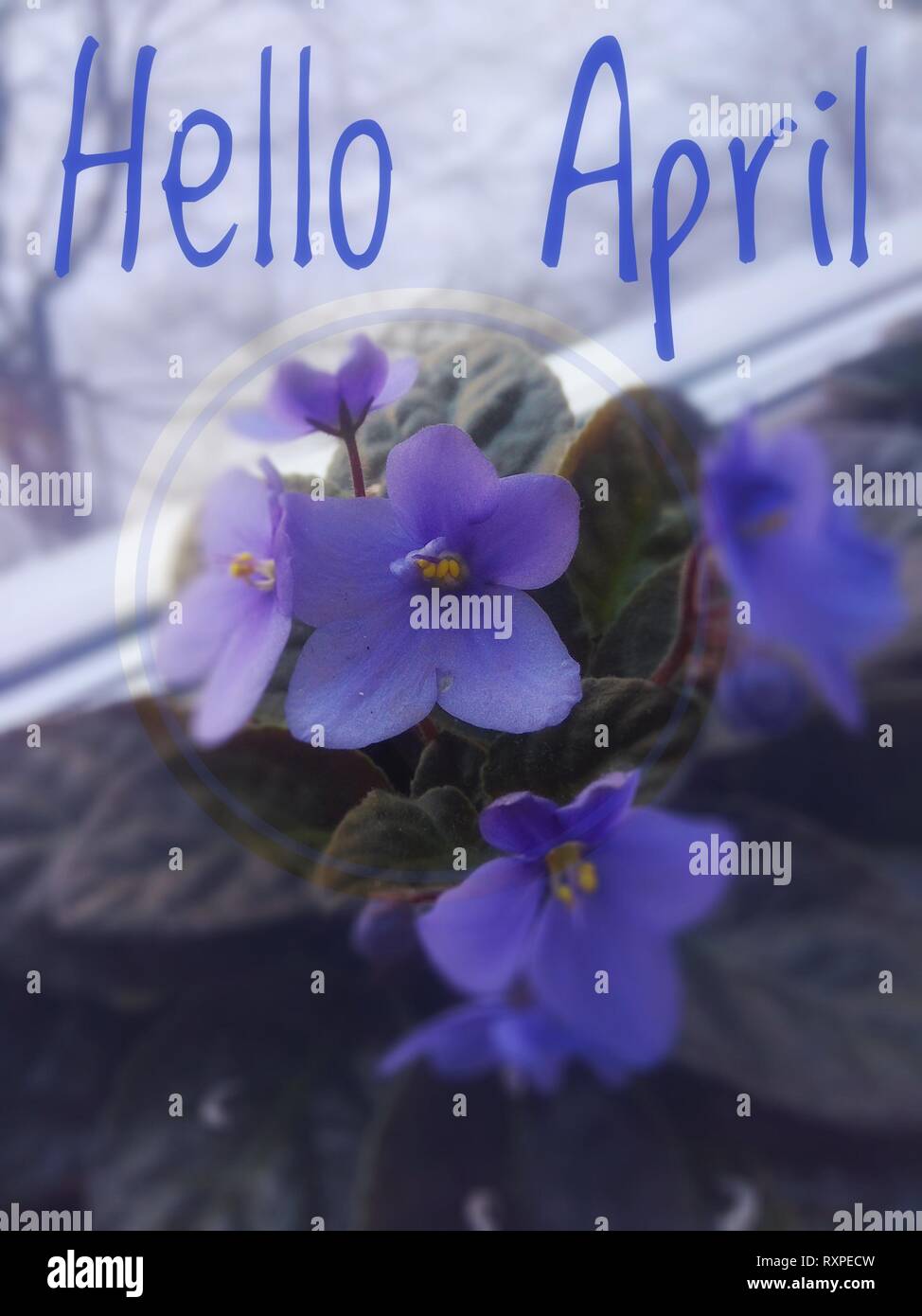 Banner Ciao aprile. Ciao a molla. Ciao Aprile. Welcome card siamo in attesa per il nuovo mese di primavera. Mese di primavera. Il secondo mese di primavera. Foto Stock