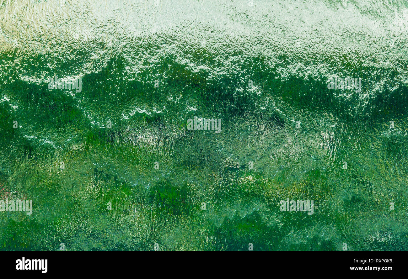 Parete della caduta di acqua sul verde e Sfondo bianco Foto Stock