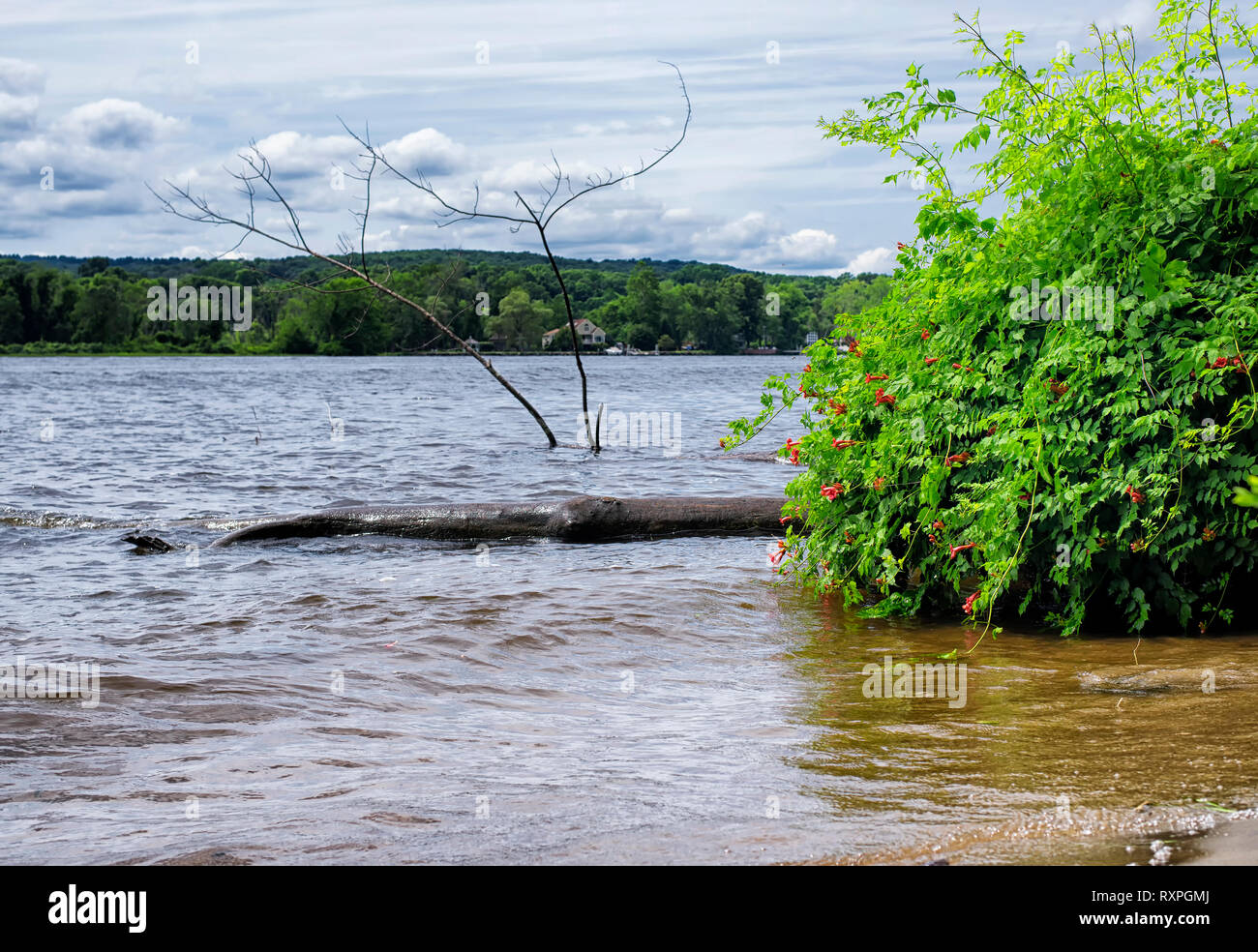 Il fiume Connecticut fluente attraverso East Haddam vicino a Gillette Castle membro Park di New London County. Foto Stock