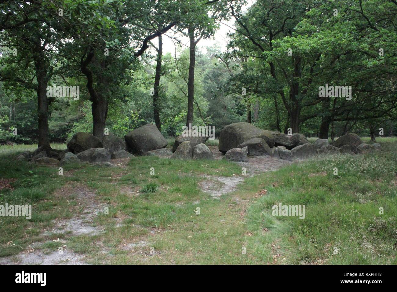 Una tomba megalitica chiamato 'Koenigsgrab' vicino al lordo Berssen, Emsland, Germania Foto Stock
