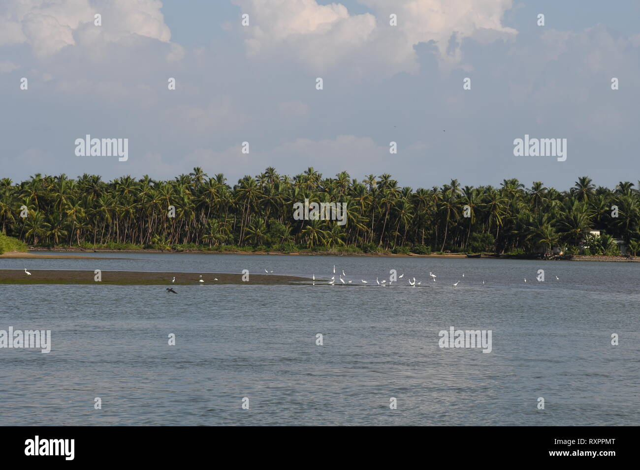 Scenic Kerala Fiume e Houseboat Foto Stock