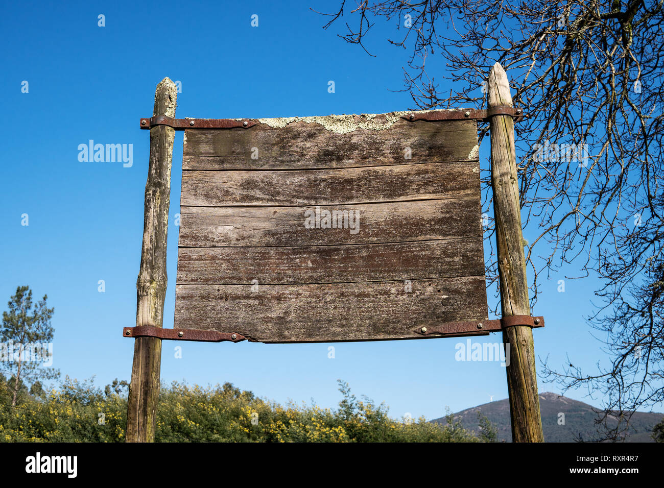 Vecchio weathered cartello in legno sulla natura e il blu del cielo. Mock up Foto Stock
