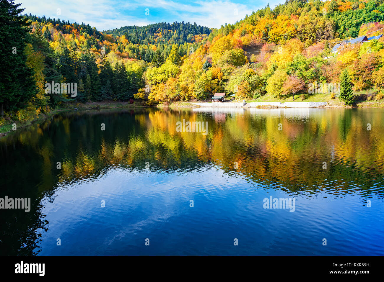 Bella riflessione di alberi colorati in acqua del lago durante l'autunno Foto Stock