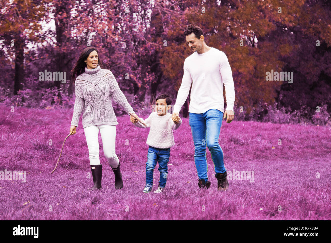 Famiglia passeggiate nei boschi con rosa colore viola Foto Stock