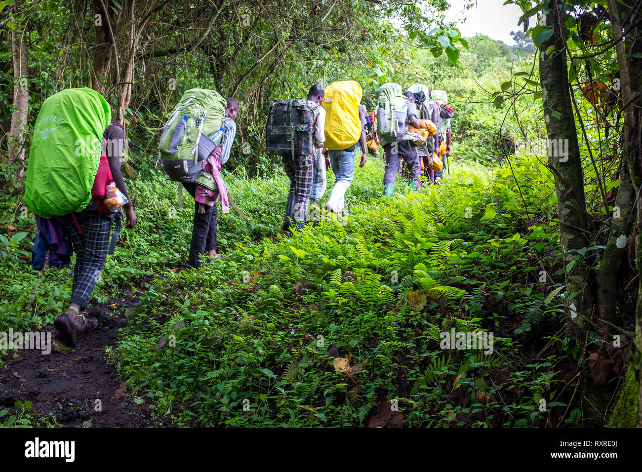 Gli escursionisti alpinismo Monte vulcano Nyiragongo nella Repubblica democratica del Congo Foto Stock