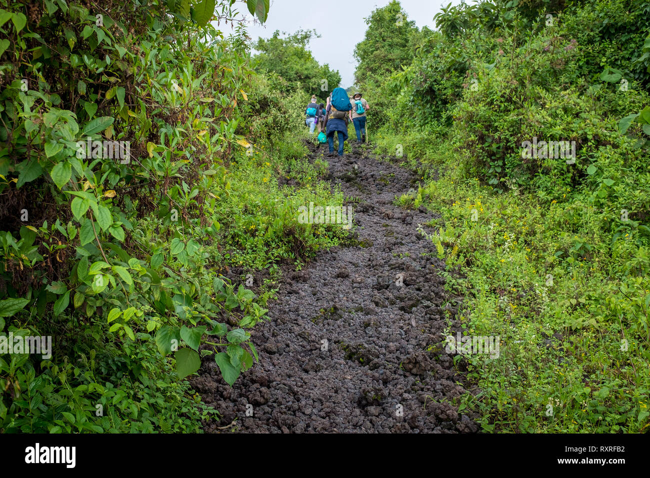 Gli escursionisti alpinismo Monte vulcano Nyiragongo nella Repubblica democratica del Congo Foto Stock