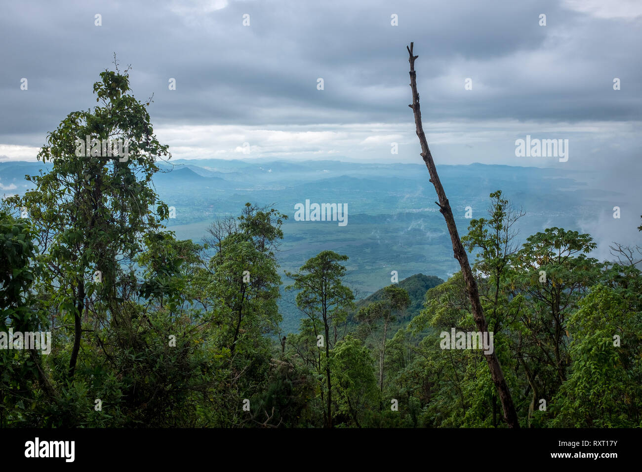 Le boscose pendici del vulcano Nyiragongo nella Repubblica democratica del Congo Foto Stock