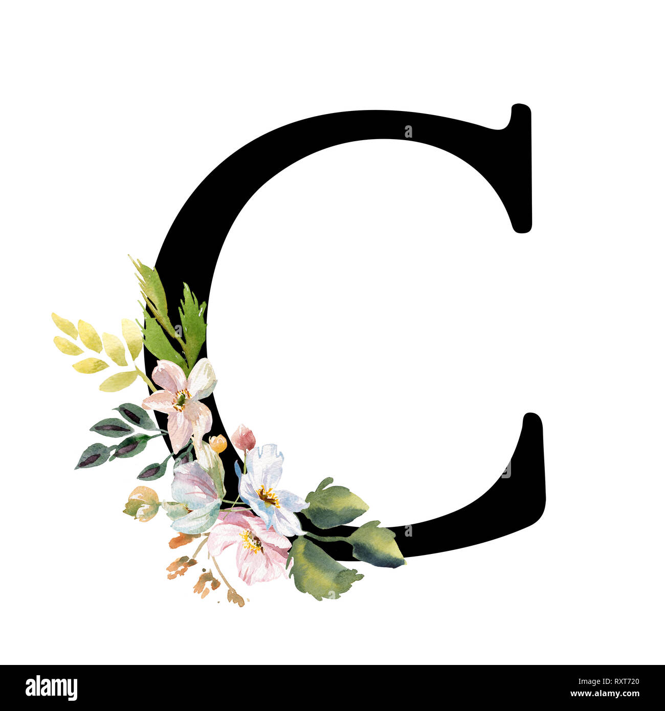 Oro romantica lettera C con disegnati fiori ad acquerello. Emblema elegante per progettazione libro, marca, invito a nozze grazie card. Foto Stock