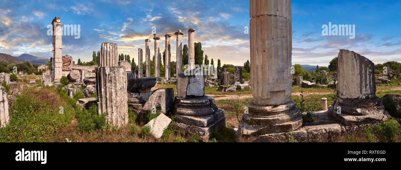 Il Tempio di Afrodite al centro di Aphrodisias. Tutto ciò che rimane del tempio antico è costituito da quattordici di oltre quaranta colonne ioniche che Foto Stock