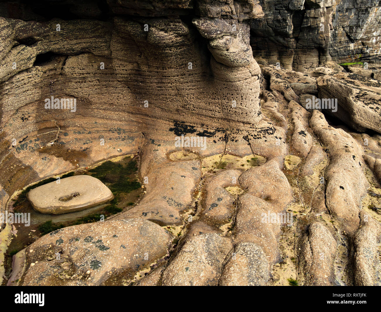 Increspata, levigato e rocce erose sulla spiaggia scozzese vicino Elgol, Isola di Skye, Scotland, Regno Unito Foto Stock