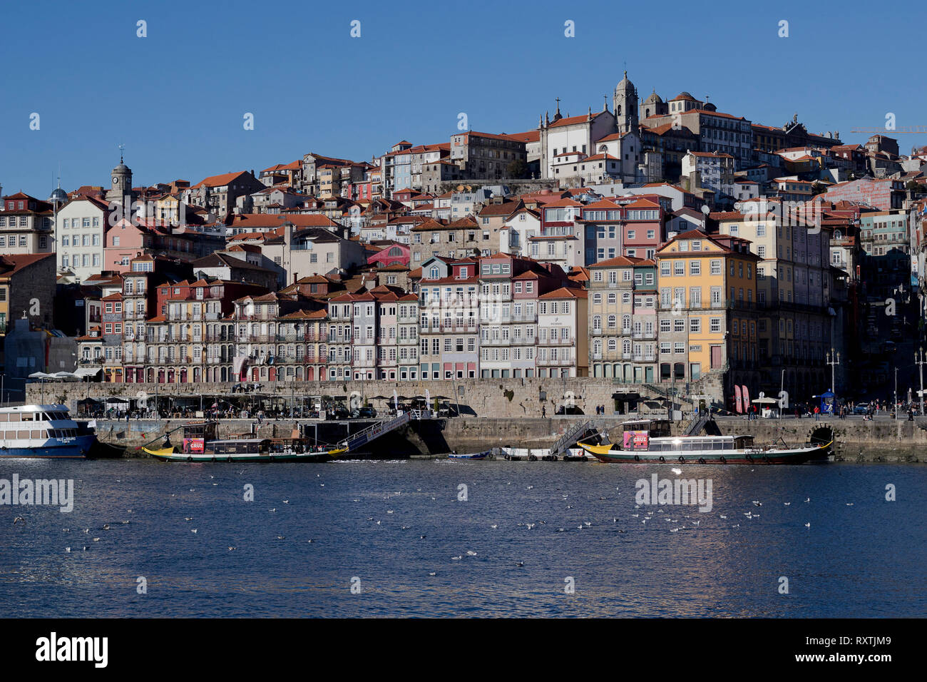 Primo piano immagine di Bairro da Ribeira (Porto, Portogallo). Foto Stock