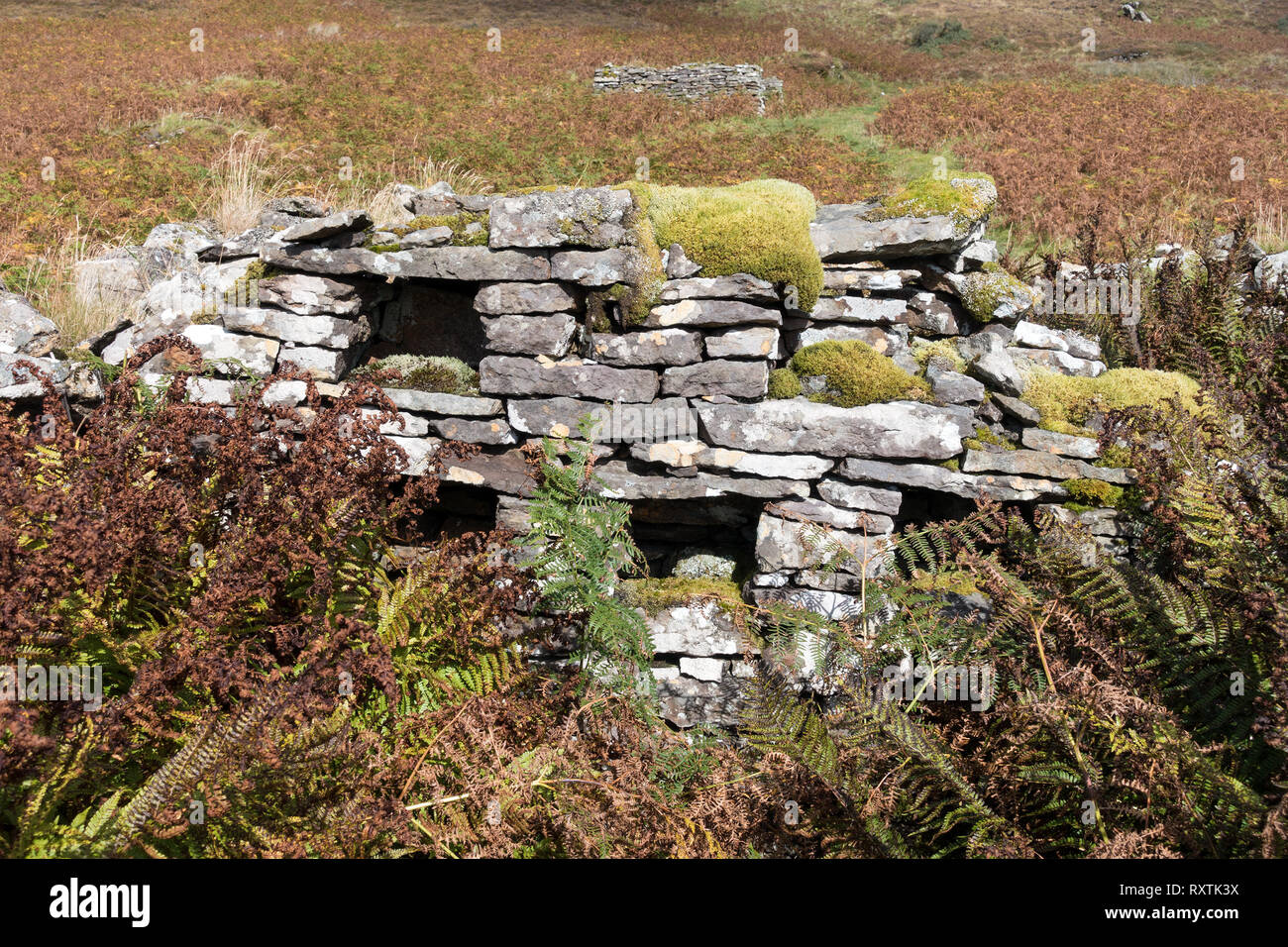 Credenza in pietra o cassettiera con cubbyholes e ripiani in rovina antica pietra croft edificio, Boreraig, Isola di Skye, Scotland, Regno Unito Foto Stock