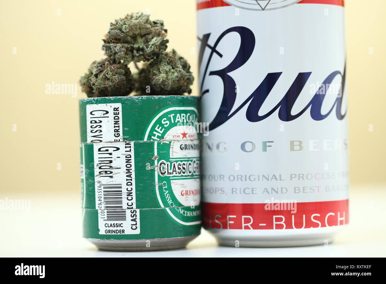 La Bielorussia Minsk, marzo ,10 : Budweiser mondo popolare birra di qualità e la cannabis medica marijuana Foto Stock