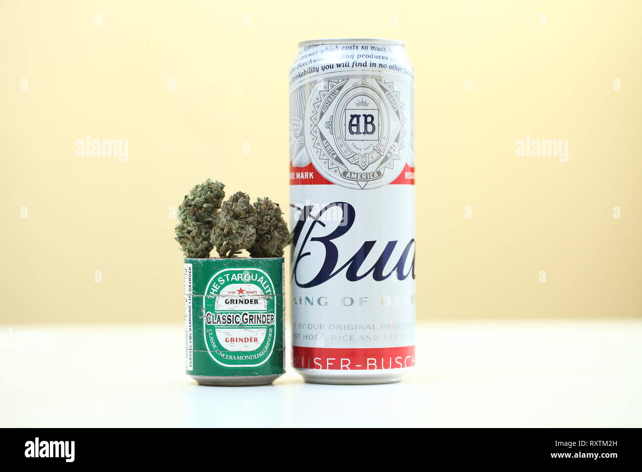 La Bielorussia Minsk, marzo ,10 : Budweiser mondo popolare birra di qualità e la cannabis medica marijuana Foto Stock