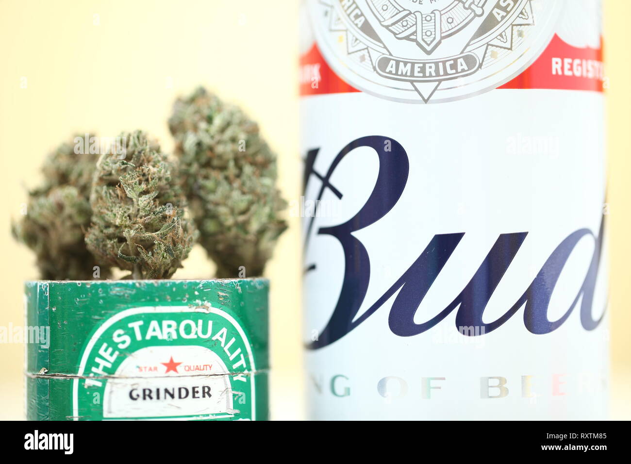 La Bielorussia Minsk, marzo ,10 : Budweiser mondo popolare birra di qualità e la cannabis medica marijuana Foto Stock