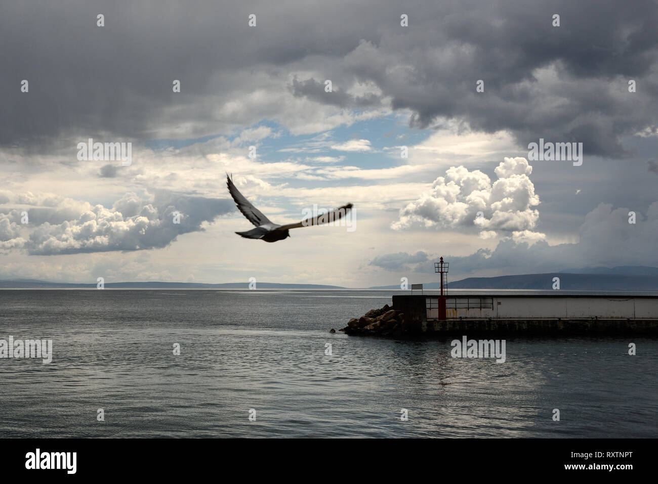 Seascape con nuvole scure, moody wallpaper, gabbiano in volo sopra il mare Adriatico, Opatija Croazia Foto Stock