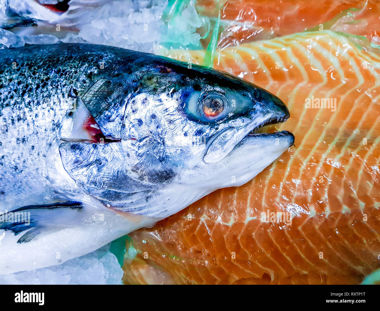 Vista ravvicinata di un pesce di salmone fresco su blocchi di ghiaccio, accanto a pezzi di filetto di pesce. Pesce congelato in vendita in un mercato locale. Foto Stock