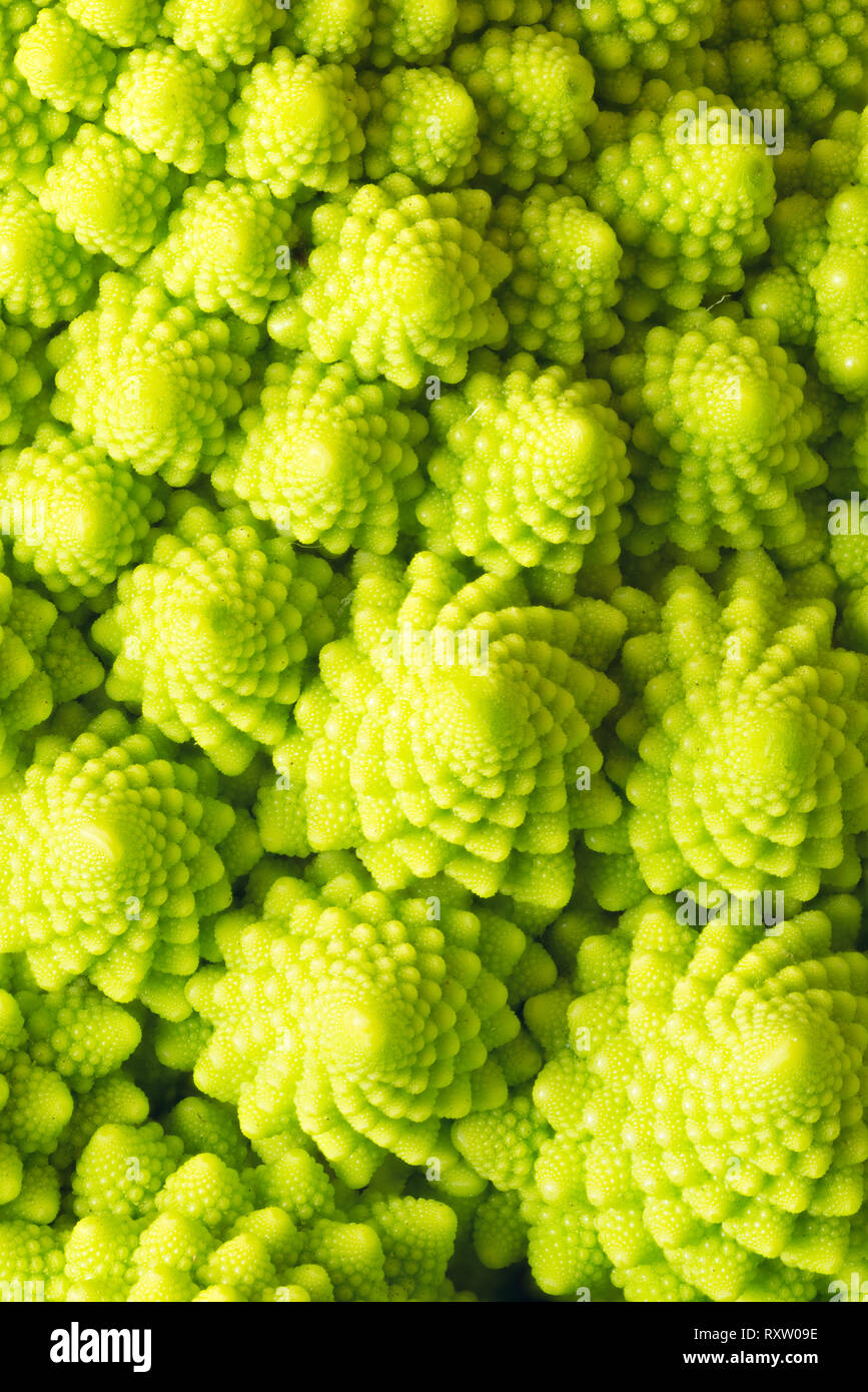 Close-up di pattern di rosette di cavolfiore Romanesco, mostrando il frattale del modello simile a. Foto Stock